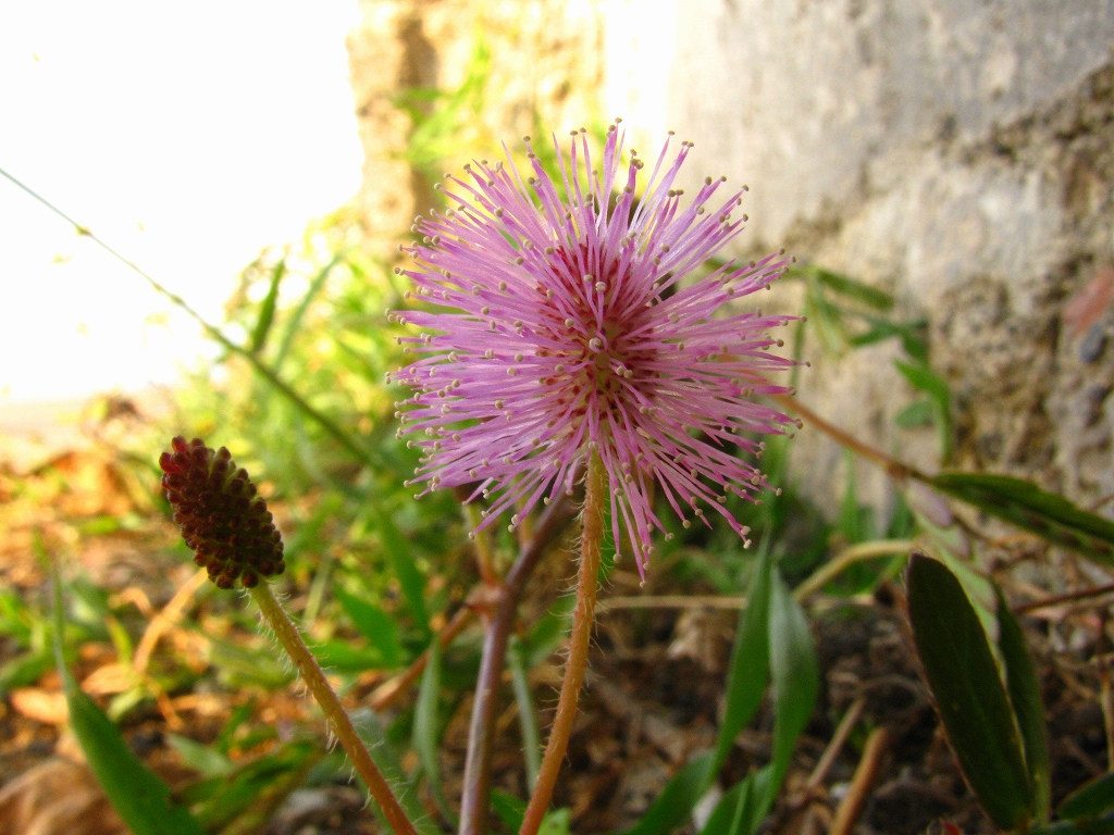 e0024081_12205310.jpg