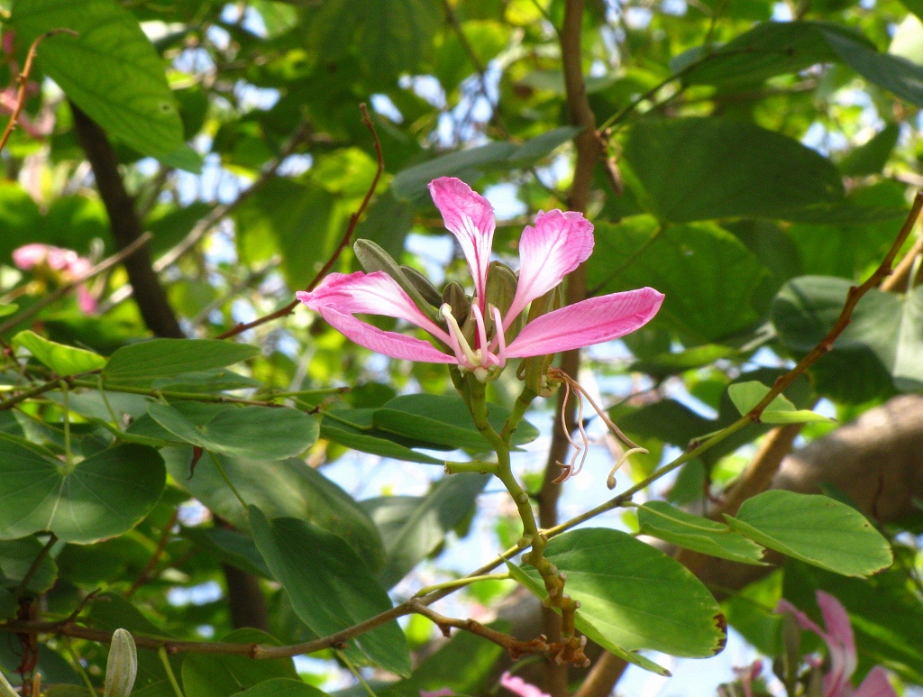 e0024081_12222421.jpg