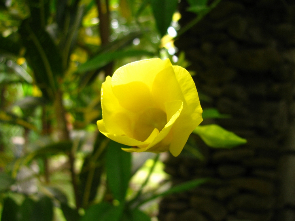 e0024081_12465416.jpg