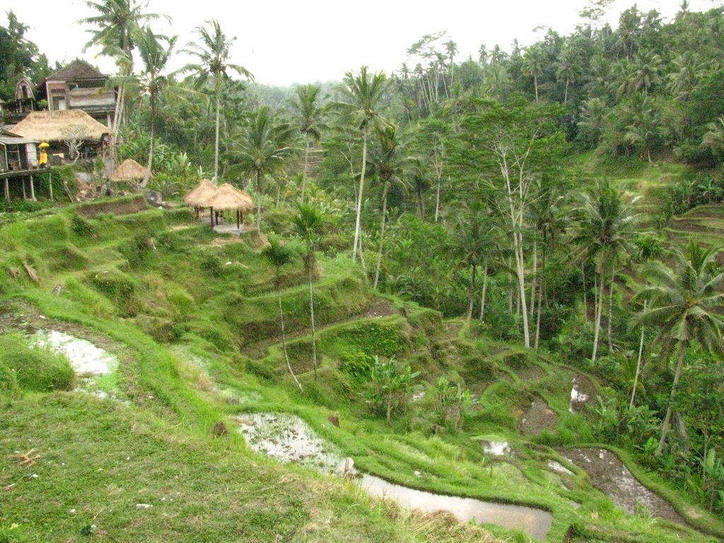 e0024081_13433394.jpg