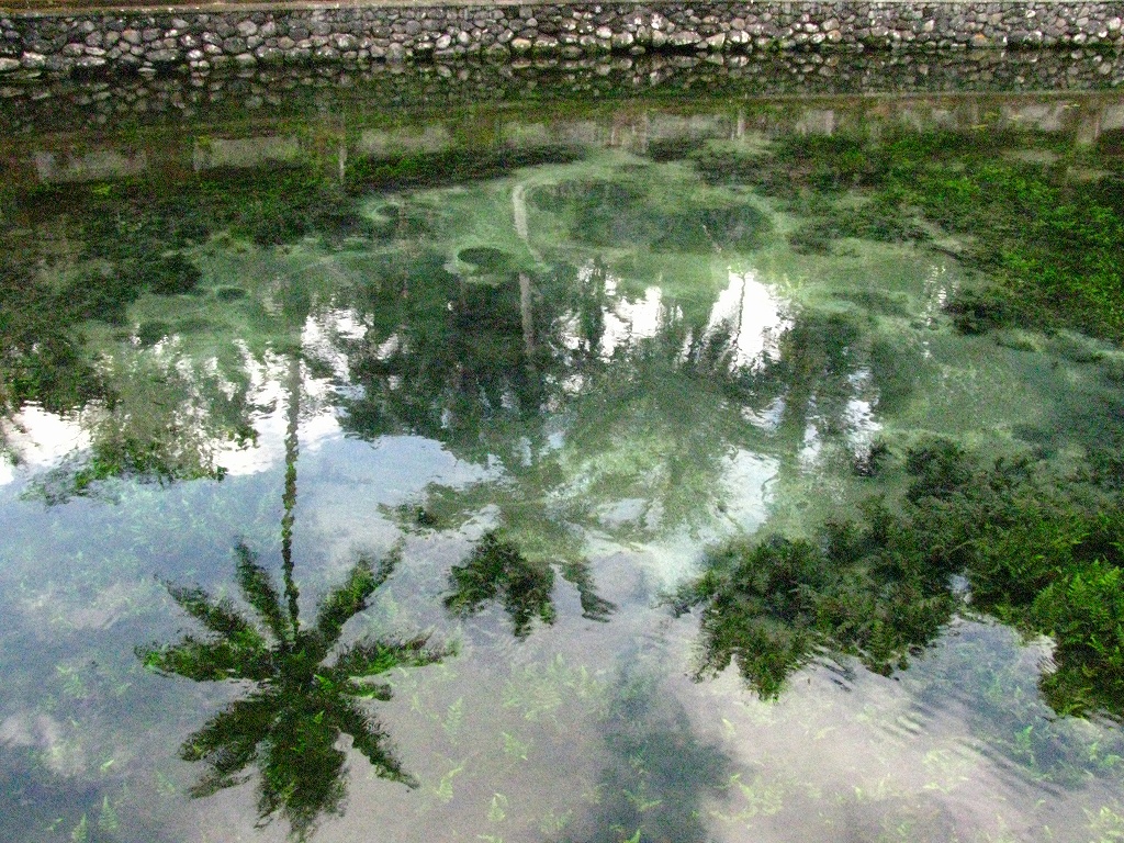 e0024081_13452477.jpg