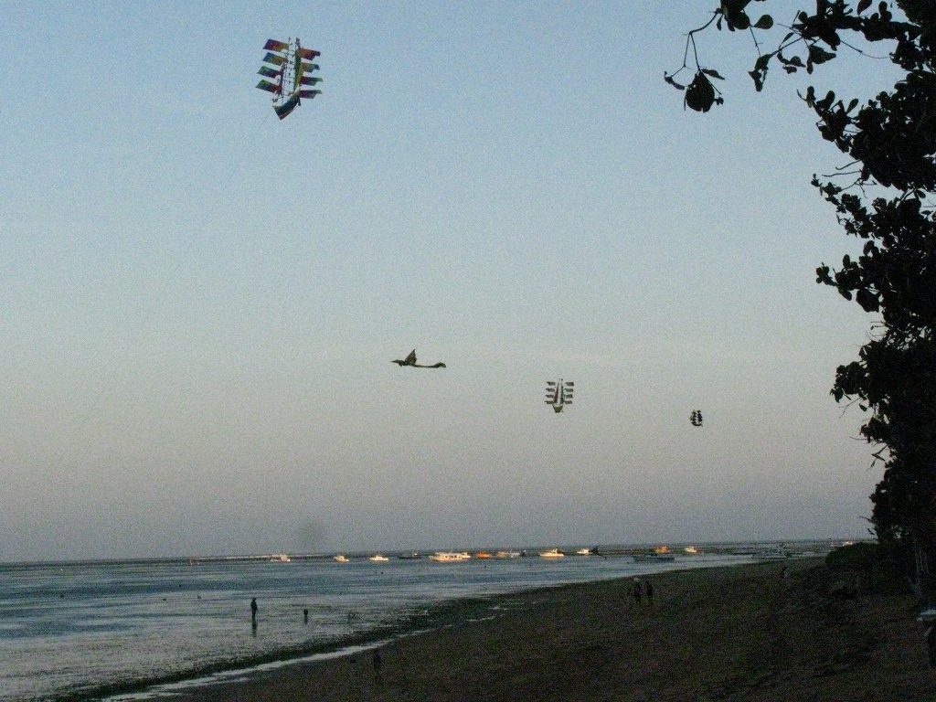 e0024081_13502521.jpg