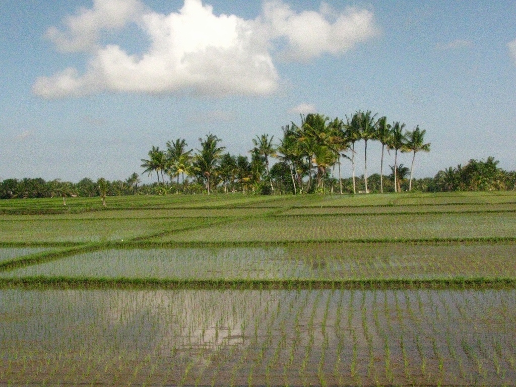 e0024081_1350911.jpg