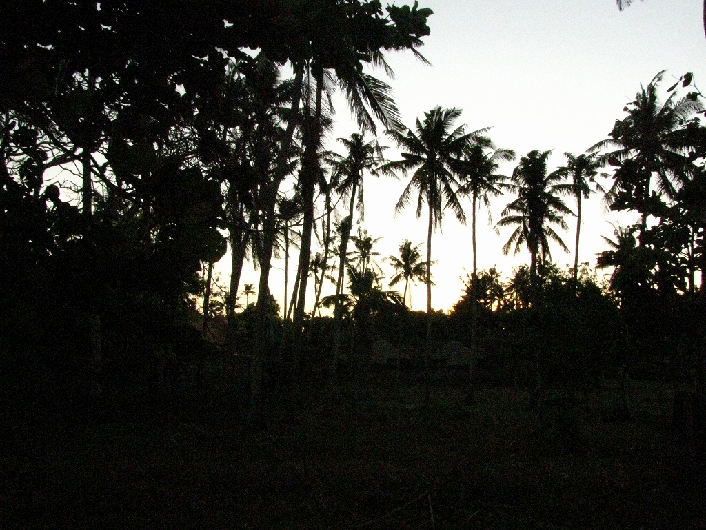 e0024081_13511171.jpg