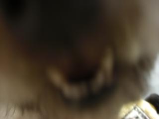 b0186183_12151567.jpg