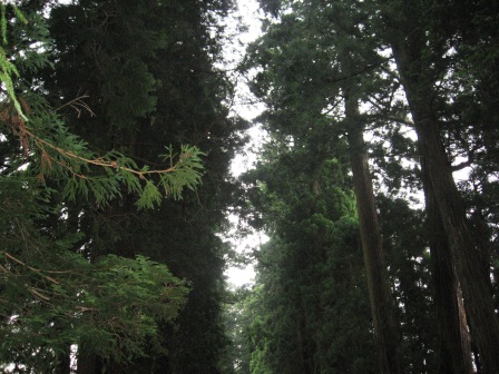 b0082484_002915.jpg