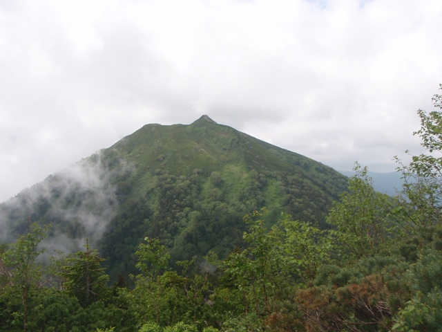 c0147398_23562017.jpg