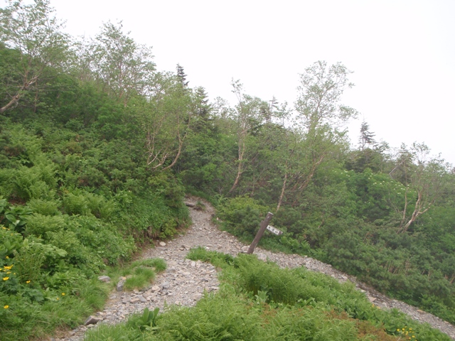 c0147398_23573979.jpg