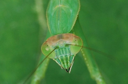 c0124100_18595976.jpg