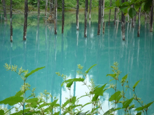f0187700_10434778.jpg