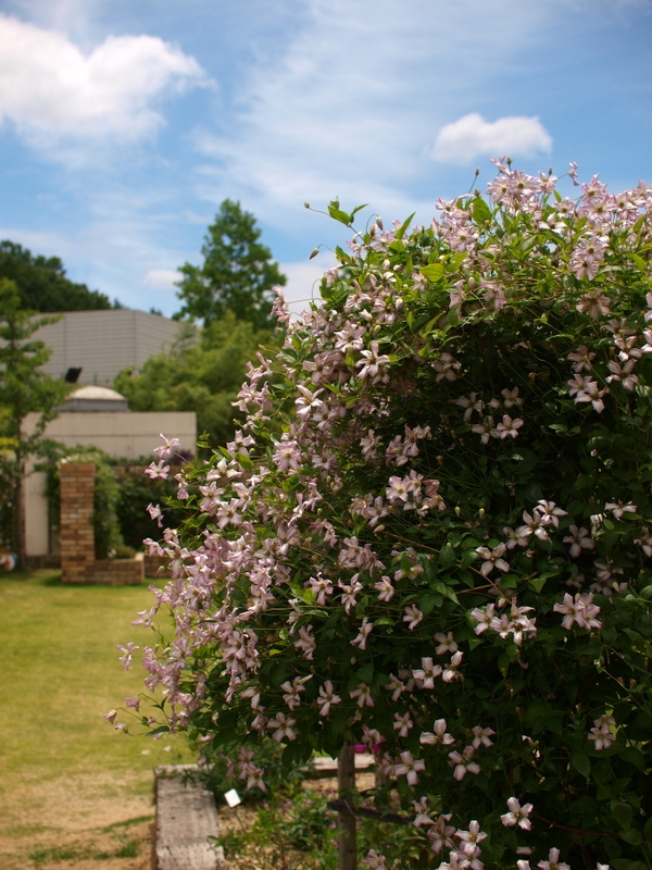 b0138101_22145479.jpg