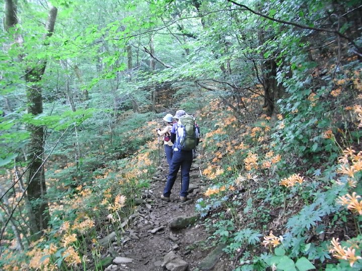 f0187402_2223017.jpg