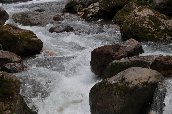 b0158403_13263042.jpg