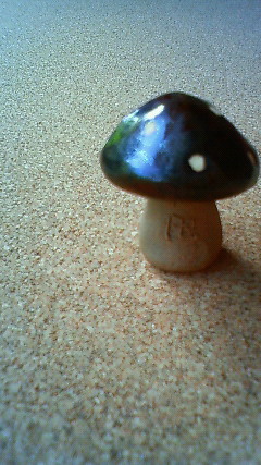 e0170503_15202282.jpg