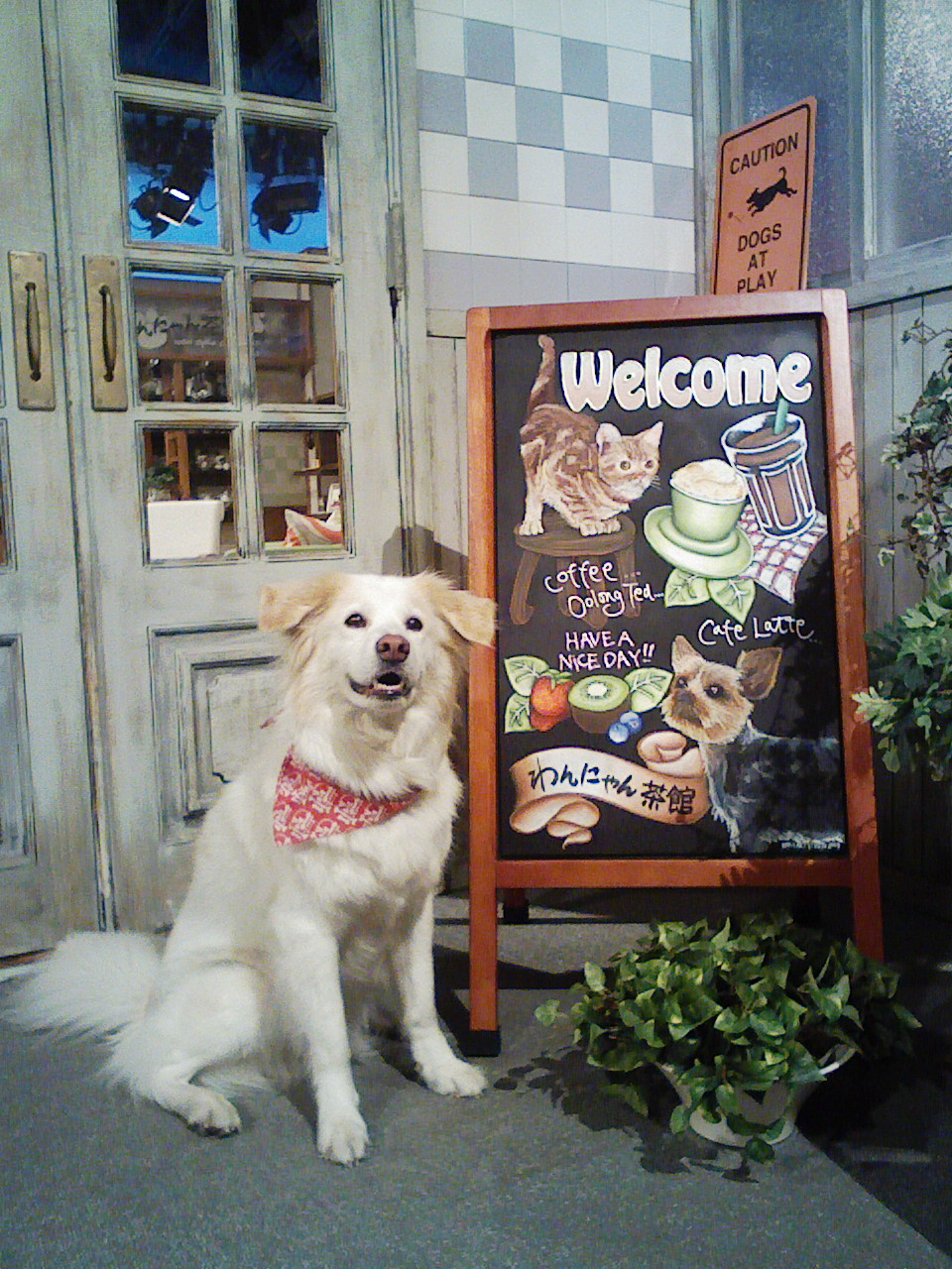 a0032004_14175564.jpg