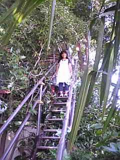 d0052904_11164981.jpg