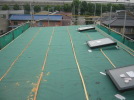 e0187304_1411828.jpg