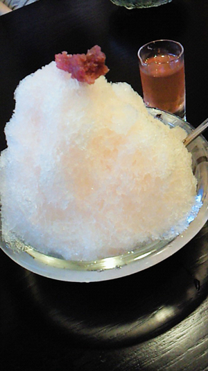 京都中村軒の夏期限定かき氷_a0115906_16235294.jpg