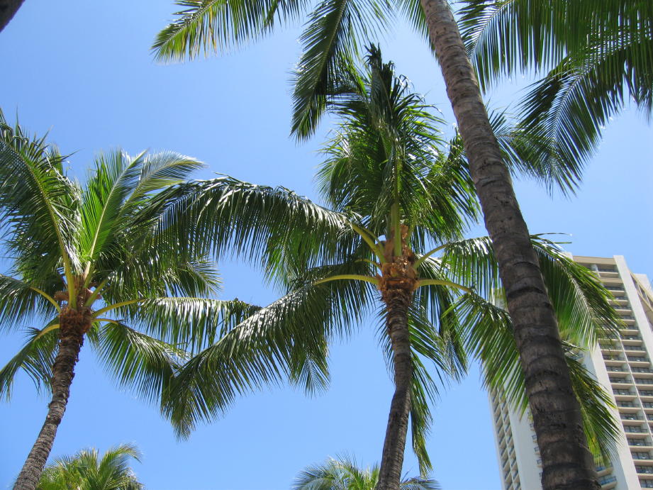 c0180009_1104679.jpg