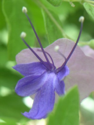 e0138310_14115230.jpg