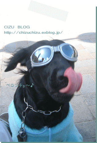 c0017311_9154490.gif