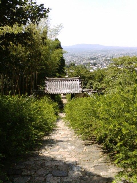 白毫寺_e0099212_2017305.jpg