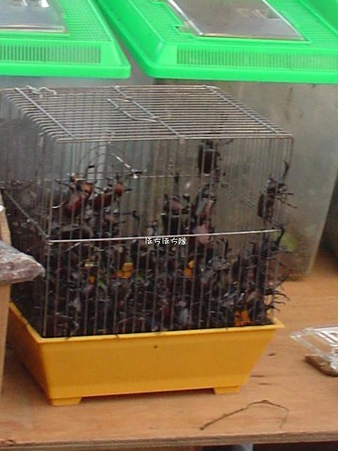 f0151213_15382616.jpg