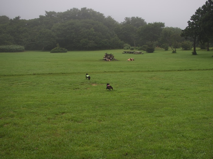 b0143214_23184497.jpg