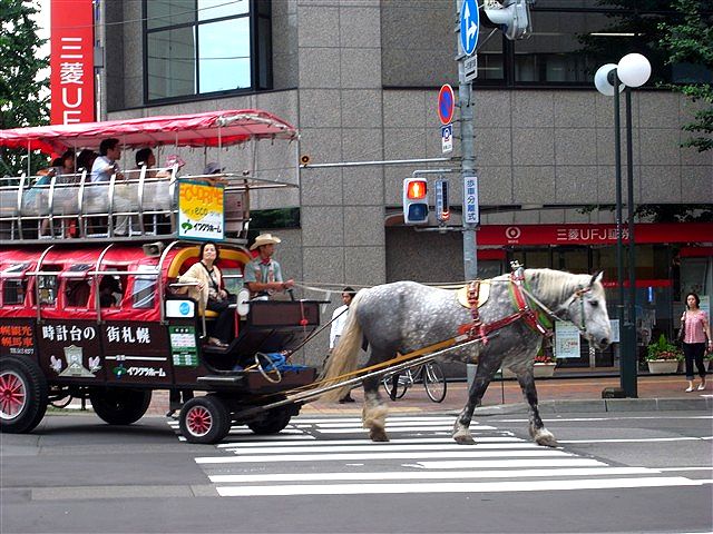「せっかくやし」・・・・ね。_c0116714_11133752.jpg