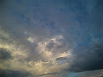 e0037314_1053639.jpg