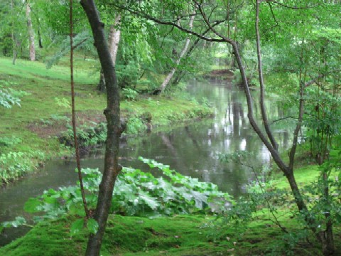 f0073718_21174163.jpg