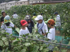c0166825_22473769.jpg