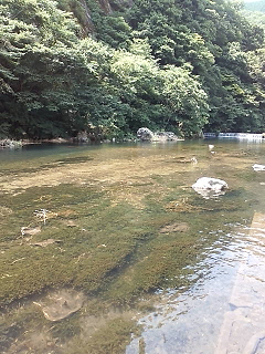 e0094325_22591325.jpg
