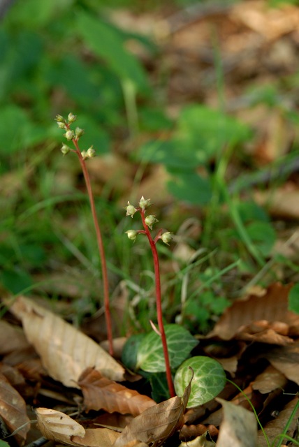 c0027027_17184626.jpg