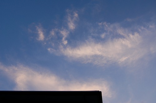b0097729_20481962.jpg