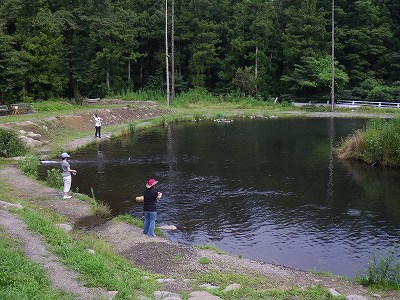 d0137029_1053642.jpg