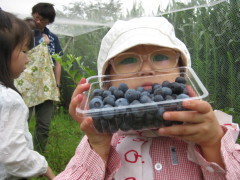 f0060733_224298.jpg