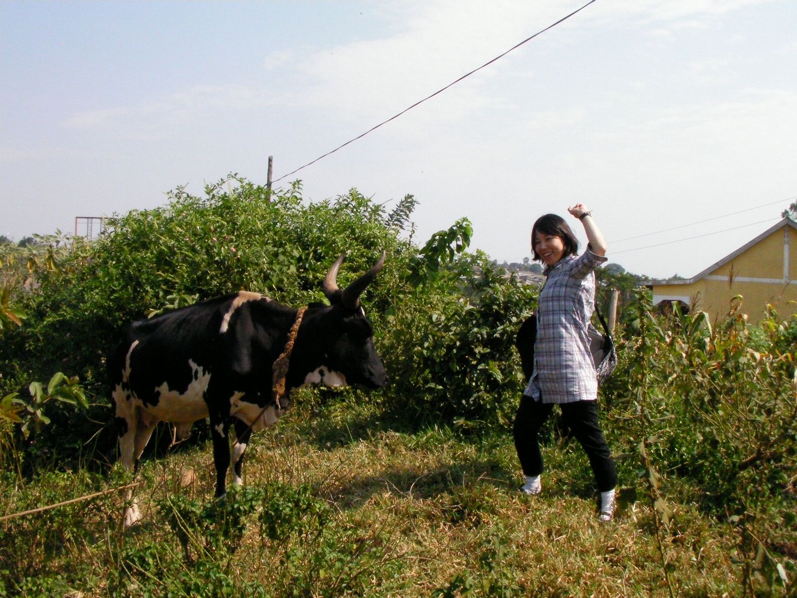 f0204733_27167.jpg