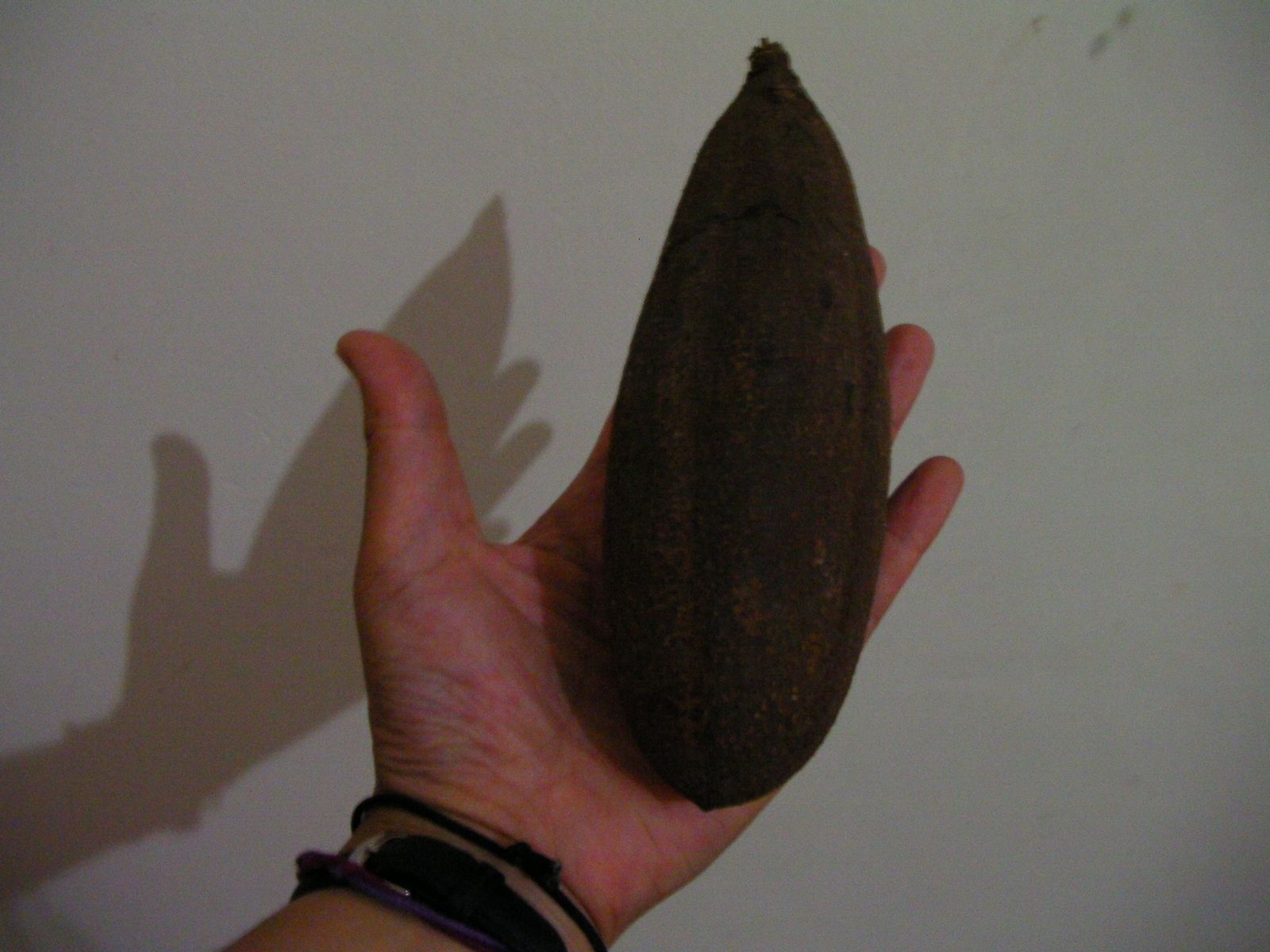 f0204733_29727.jpg