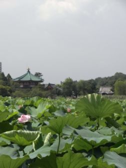 c0195134_22312380.jpg