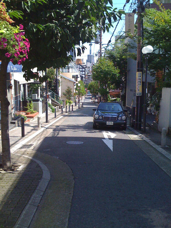 f0012637_1051865.jpg