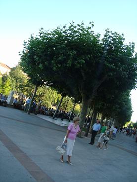 e0120938_1691672.jpg