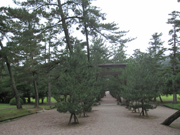 a0121941_1195221.jpg