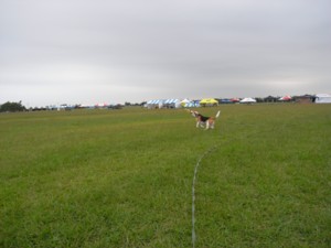c0119142_623849.jpg