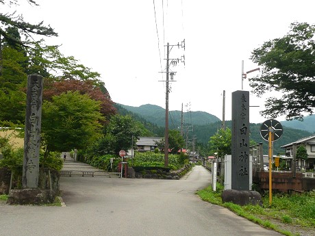 白山長滝神社の蓮_c0057946_20214133.jpg