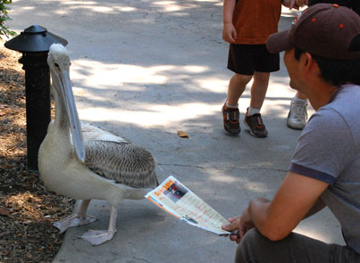 Wild Animal Park　その①_d0114149_3301789.jpg