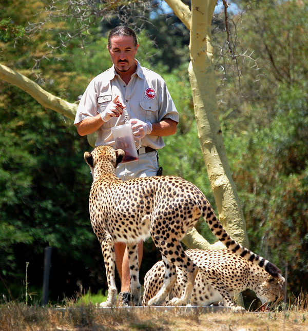 Wild Animal Park　その①_d0114149_3483427.jpg