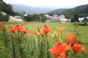 尾瀬岩鞍スキー場『ゆり園』_e0009049_1183294.jpg