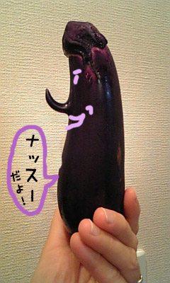 『5』はご無沙汰のご!!_f0089355_3322085.jpg