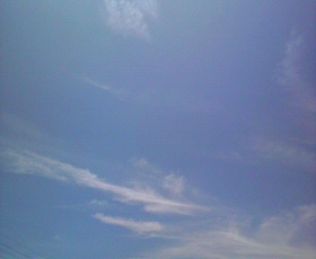 f0198056_11565818.jpg